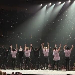 Meet your Posher, LeiLei